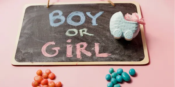 Enas mauros pinakas pou grafei me mple grammata Boy kai me roz Girl. Safes minima gia gender reveal